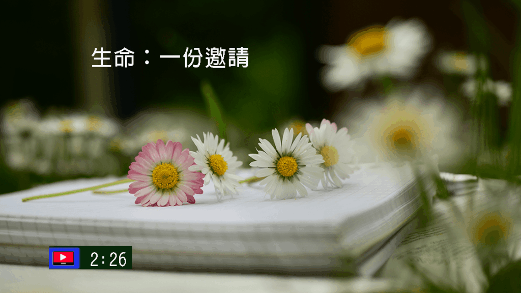 生命： 一份邀請(字幕)