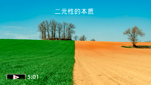 二元性的本质 (字幕)